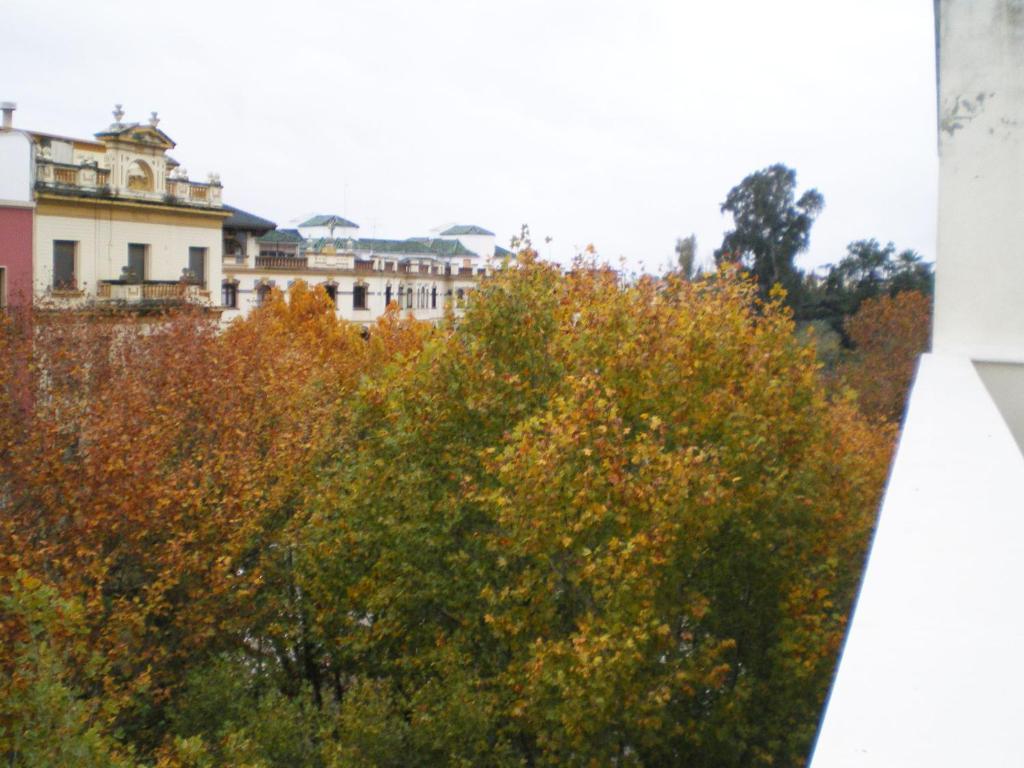 Murallas De Appartement Séville